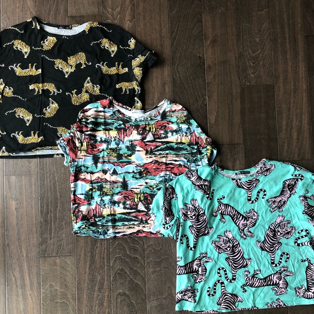Zara Cropped Tees - set of 3 for $10 or sold separately $4 each.